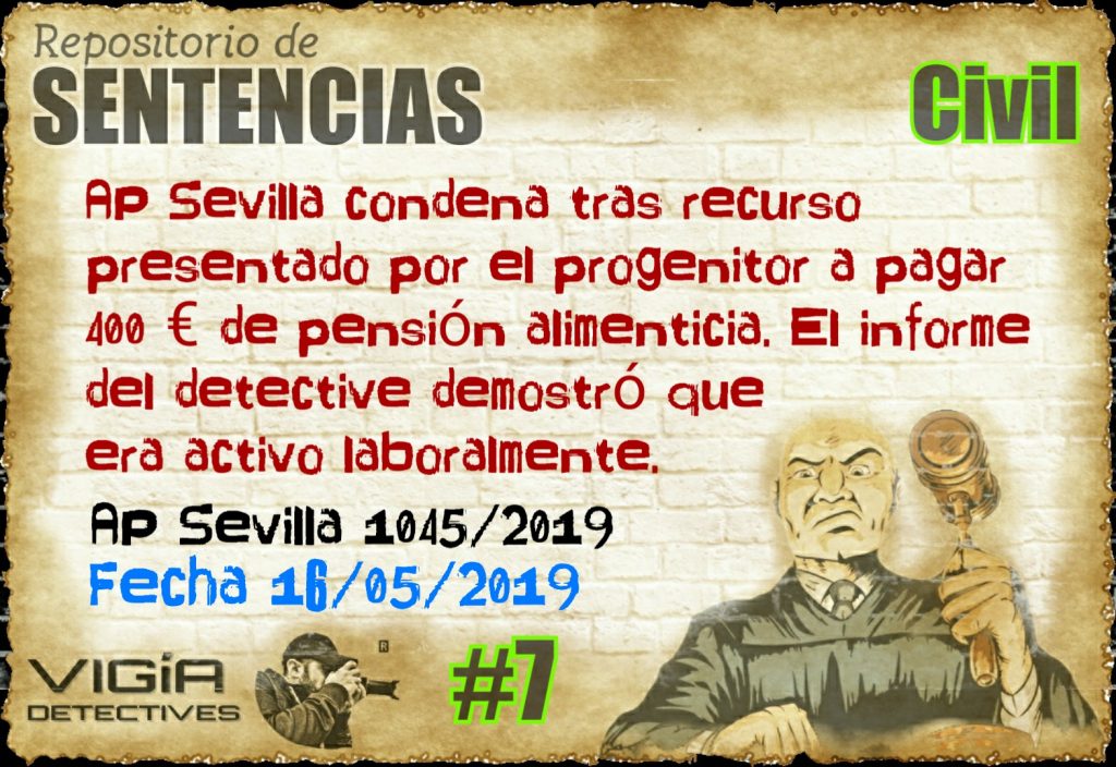 #7_civil_vigia_detectives